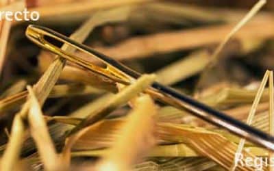 Informe de Tráfico Online para evitar fraudes