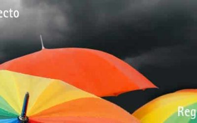 El informe de vehículos y cómo interpretarlo