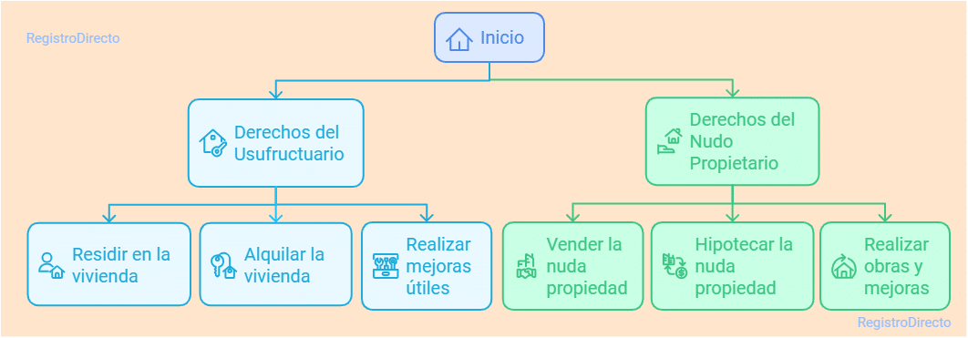 Derechos del usufructuario y del nudo propietario